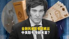 阿根廷打响金融保卫战，米莱休克疗法接近崩盘，中美联手救场？