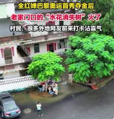 全红婵家门口的“水花消失树”火了 成网红打卡地