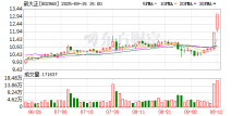 新大正二连板重大资产重组浮出水面