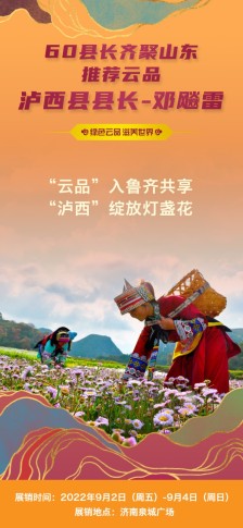 绿色云品滋养世界 云南省泸西县县长邓飚雷：“云品”入鲁齐共享，“泸西”绽放灯盏花