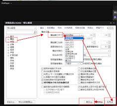 PotPlayer启动后窗口大小如何设置