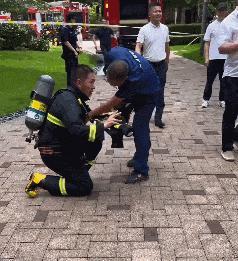 新西兰消防员救火后给被困鸽子输氧 勇毅行为获赞