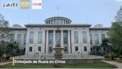 Diálogo con el embajador ruso en China: compartiendo detalles exclusivos de la diplomacia del jefe de Estado