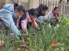 校园农场播种忙，爱心蔬菜送邻里