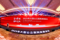 2025年大型公立医院发展会议在京召开