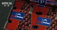 车厘子含褪黑素能助眠？专家：50公斤樱桃≈1片褪黑素