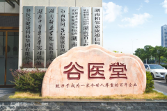 凭基因用药！谷医堂科技中医实现糖尿病“一人一药”精准血糖调理