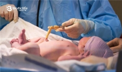 新突破！百奥蒂越南脐带血库临床应用突破4345例，为再生医学发展注入新动能