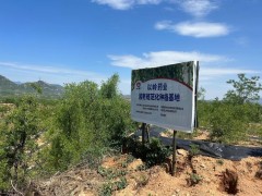 行业观察：酸枣仁助眠效果参差不齐，专家提醒关注2个核心指标