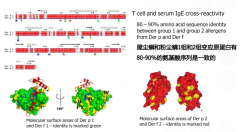 2026过敏性鼻炎脱敏治疗指南：对因治疗如何实现长期控制？