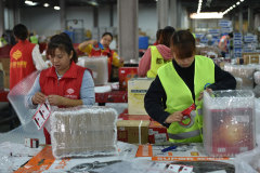 Nanjing: arriva il picco di raccolta dei pacchi per il festival dello shopping “il doppio undici”