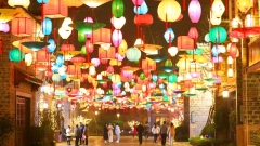 Le lampade di fiori illuminano numerosi luoghi per la Festa delle Lanterne