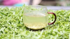 Suzhou: il fragrante tè Biluochun compare sul mercato