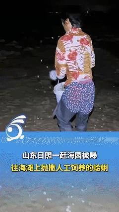 日照一趕海園被曝撒人工飼養(yǎng)蛤蜊 營造游客體驗(yàn)感