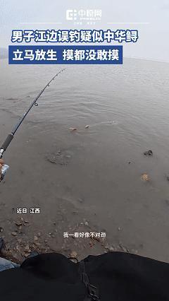 男子钓到野生鲟鱼被吓得报警求助 国宝级保护动物惊现江边