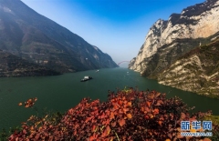 Chongqing promove desenvolvimento verde do Cinturão Econômico do Rio Yangtsé