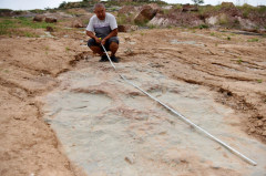 4.300 pegadas de dinossauro encontradas no norte da China