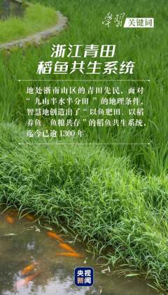 Conheça a proteção do patrimônio agrícola na mensagem do presidente Xi Jinping