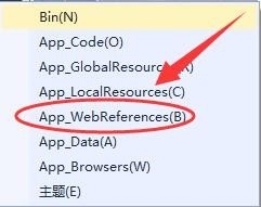 vs添加ASP.Net文件夹中各选项是什么意思
