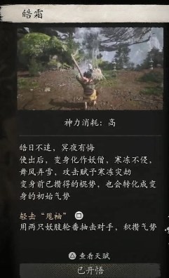 《黑神话：悟空》皓霜的效果