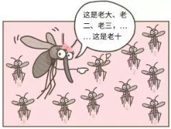 广东蚊子会飞河南吗 高温下的蚊虫担忧