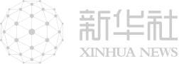 一组数字，回顾2024年中国元首外交