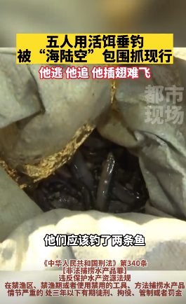 5人用活饵钓鱼被抓现行，网友：他逃 他追 他插翅难飞