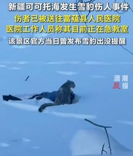 新疆雪豹伤人事发画面曝光