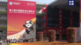 ششمین نمایشگاه بین المللی واردات چین برای اولین بار با برق سبز برگزارخواهد شد