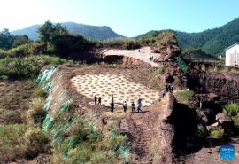 کشف ردپاهای دایناسور غول پیکر در استان «فوجیان»