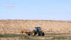 چین، پیشتاز مقابله با بیابان زایی در جهان