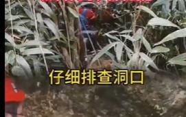 8岁男孩登山时与父母失联已14天 搜救面临多重挑战