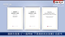 ¿Quién es bueno para la democracia de Hong Kong? ¿Quién la sabotea maliciosamente? Este libro blanco habla claramente