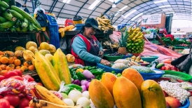 Expectativa en el sector exportador por el TLC entre Ecuador y China