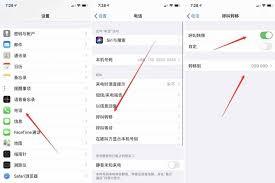 苹果手机如何开启呼叫转移功能