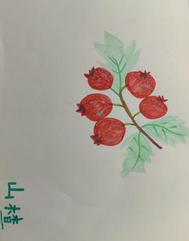 沣东新城第一小学-张洋溪