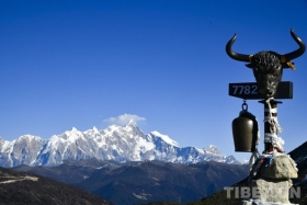 5%的承诺 100%的共赢：巴松错畔 民营企业与西藏乡村的共富实践