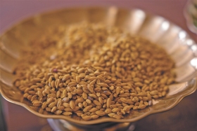 仁青多吉：青稞为笔，绘就文创新画卷