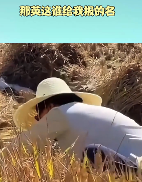 那英是去参加《变形计》了吗 一副命很苦的样子 ，“我方处于有利态势！”歼-20出