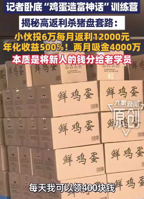 记者卧底“鸡蛋造富神话”训练营 揭秘高返利杀猪盘套路