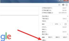谷歌浏览器如何进行安全检查