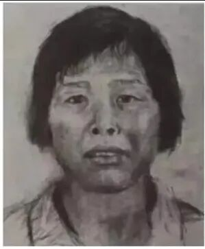 孙海洋说梅姨像鬼一样存在着 持续20年案件终告破