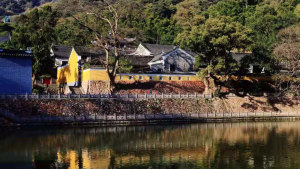 诚信法师：简述天童禅寺的祖庭文化及其历史作用和现实意义