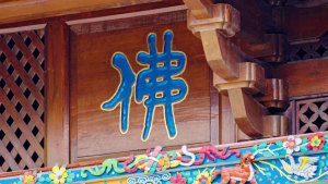 百喻经｜见水底金影喻