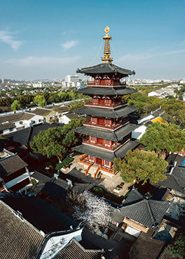 姑苏城外寒山寺：樱花将灿，春归万物生