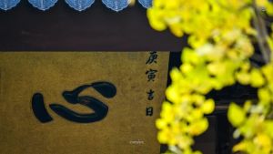 善用其心：在家菩萨应如何处理家庭关系？