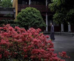 学佛为什么要皈依，要受五戒？