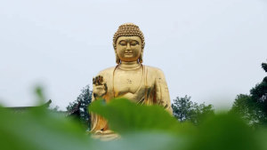 在家居士如何正确称呼出家师父，别再叫错了