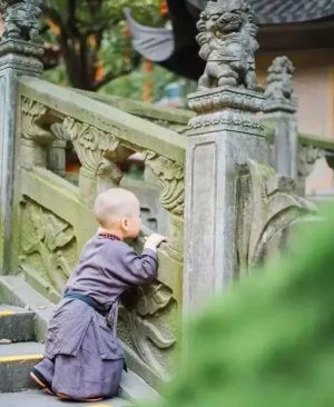 佛法大意