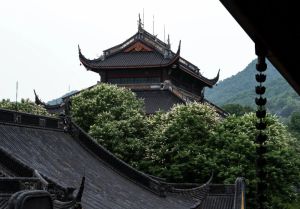 佛教道场为何称为“寺”？